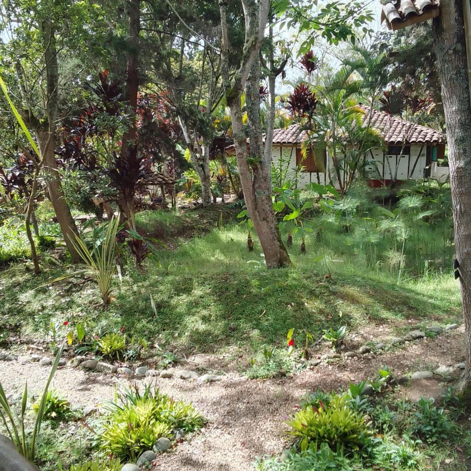 Hotel La Casa De Francois San Agustín Εξωτερικό φωτογραφία